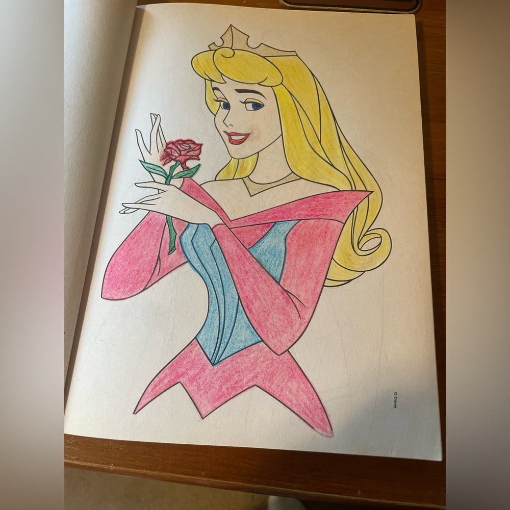 Colored pgs of Princess Aurora and fairy Godmother’s Maryweather,Flora & Fauna.